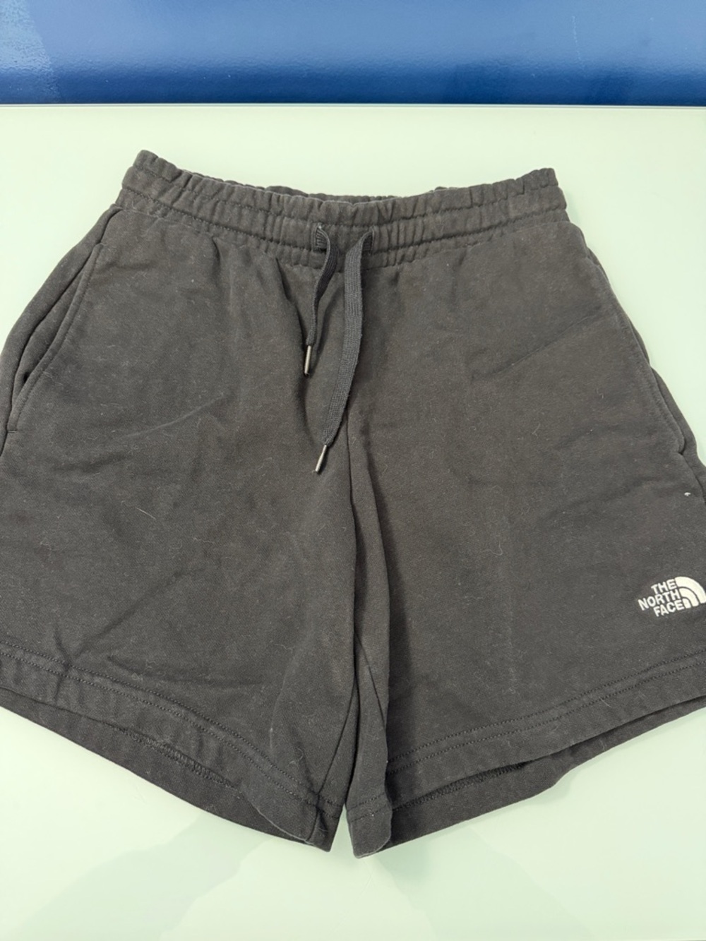 The North Face Sweat Shorts